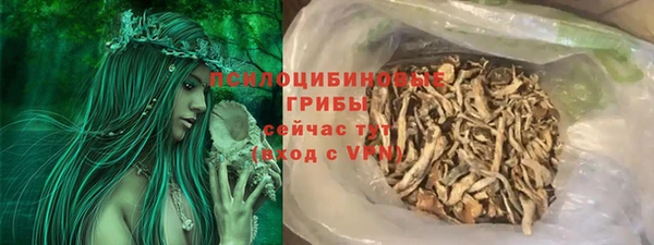 PSILOCYBIN Богородицк